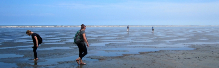 HECUA study abroad students in Esmeraldas, Ecuador