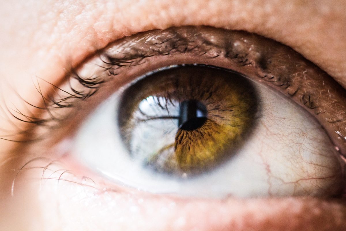 A tight close up of one hazel eye